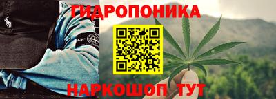 сатива Кинель