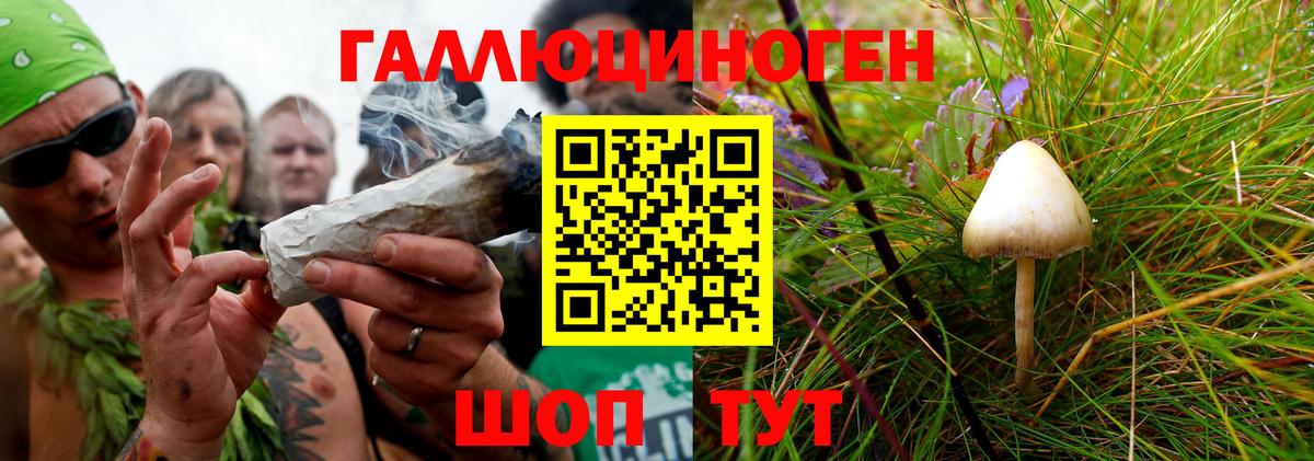 Псилоцибиновые грибы прущие грибы  Галлюциногенные грибы GOLDEN TEACHER  где купить наркоту  Кудымкар  Вход с VPN 