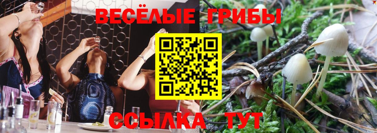 Галлюциногенные грибы прущие грибы Кудымкар